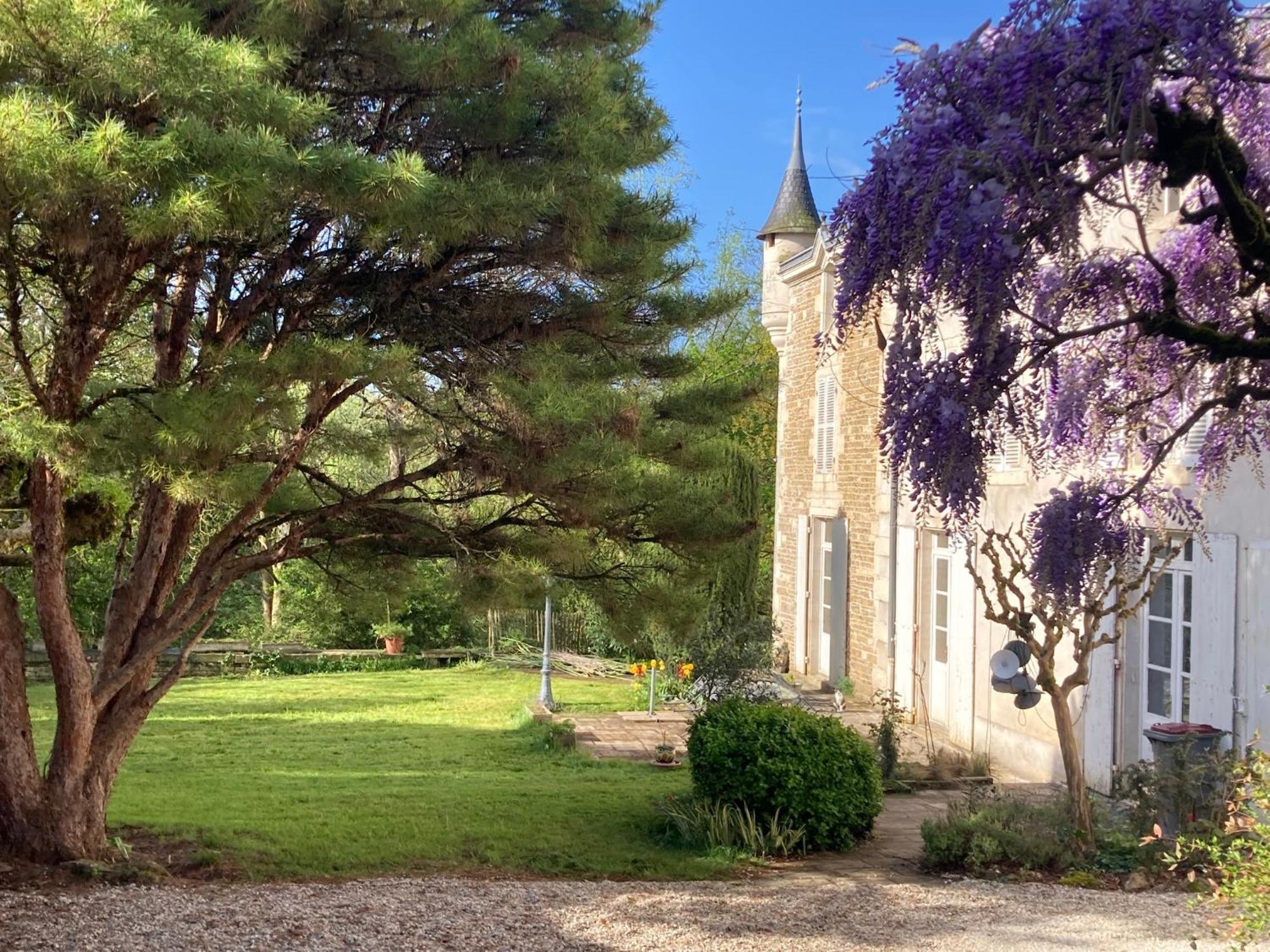 ניורט Mazette! Le Chateau מראה חיצוני תמונה